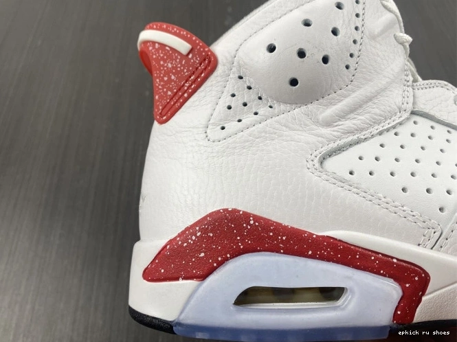 Rep 6 Retro CT8529-162 Jordan Hare 0723